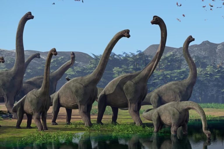 brachiosauri-2_1020x680